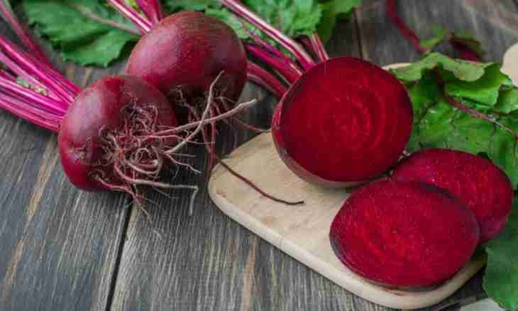 Useful properties of red beet