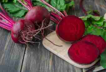Useful properties of red beet