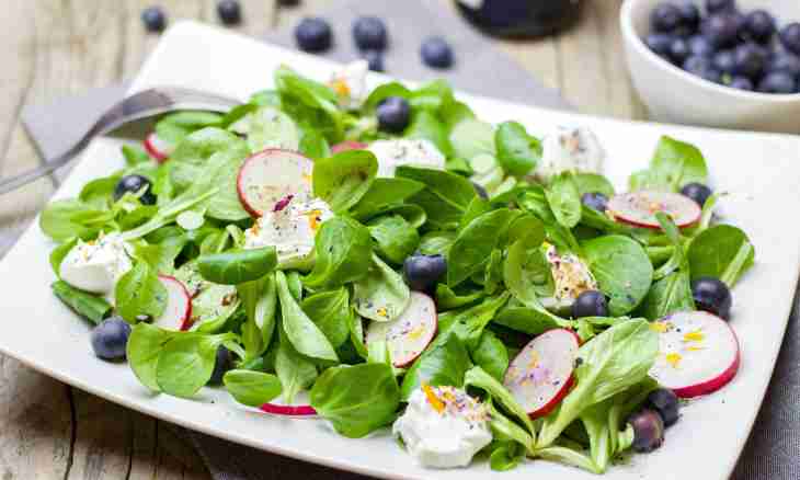 How just to make garden radish salads