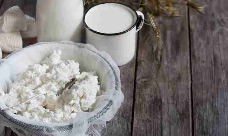 Cottage cheese and curds: advantage of a product
