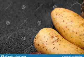 Potatoes: harm or advantage for a human body?