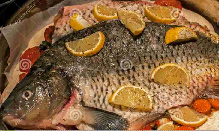 How to prepare a carp on a vegetable pillow