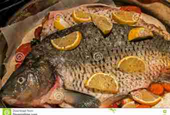 How to prepare a carp on a vegetable pillow