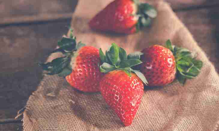 Strawberry: useful properties