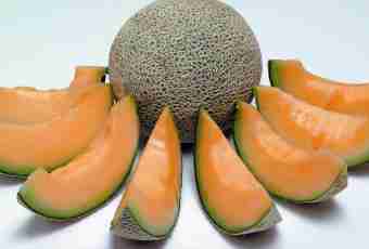 Melon: useful properties and contraindications