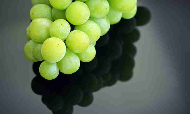 Than green grapes are useful