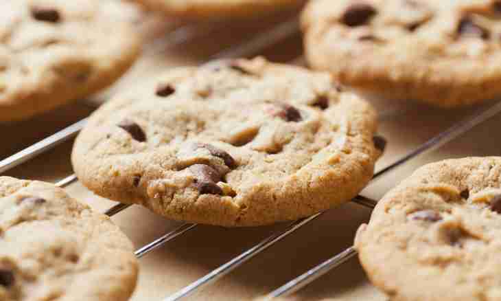 How to make useful fitness cookies