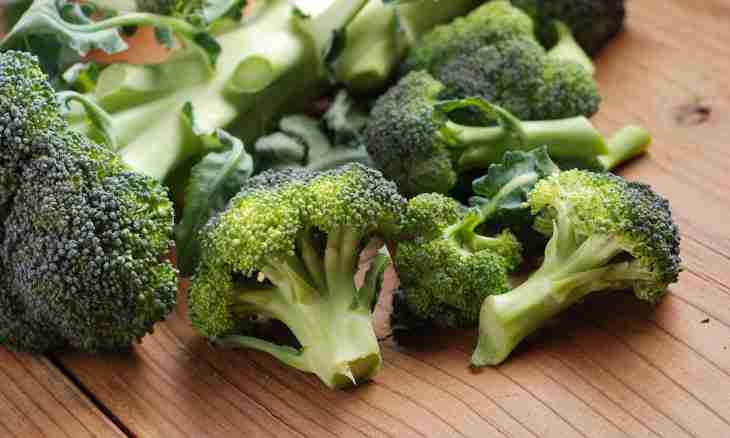 Vitamin salad for weight loss from broccoli with vegetables