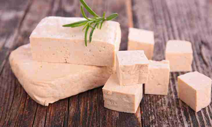 Useful properties of tofu cheese