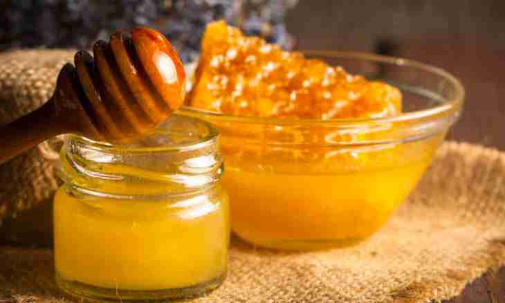Useful properties of honey