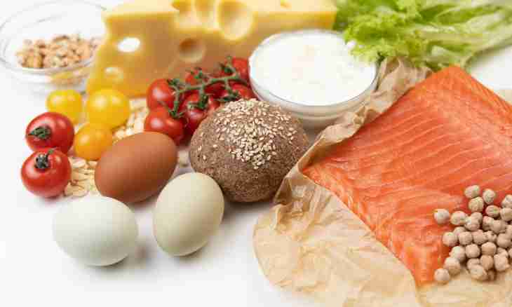 How to arrange proteinaceous fasting day