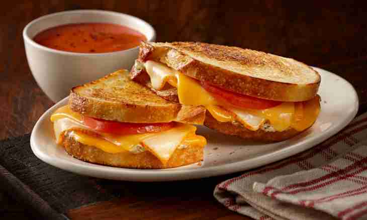 Cheese tomato and cottage cheese sandwiches soup