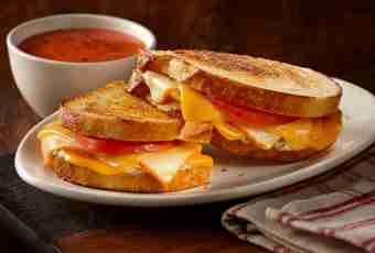 Cheese tomato and cottage cheese sandwiches soup