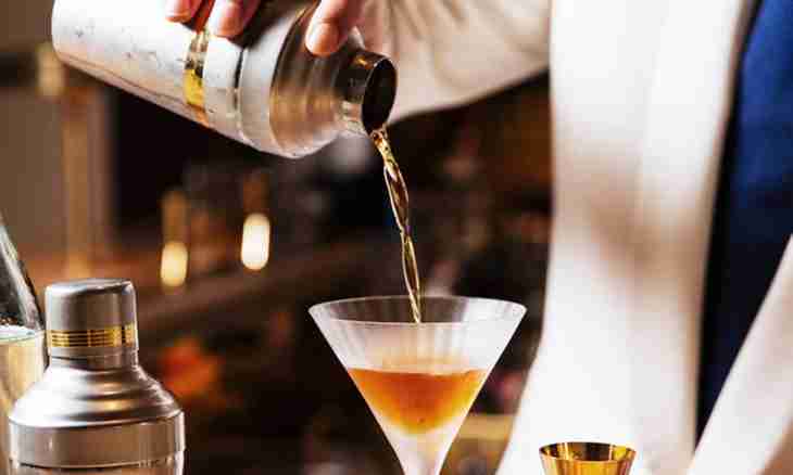 How to make cocktail: secrets of the bartender