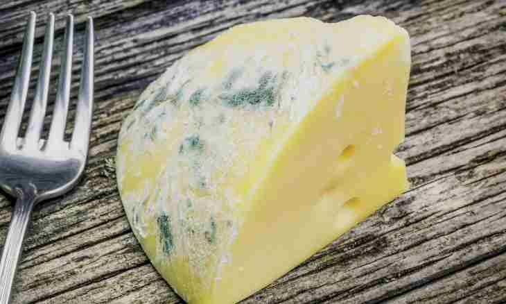 Useful properties of cheese with a mold