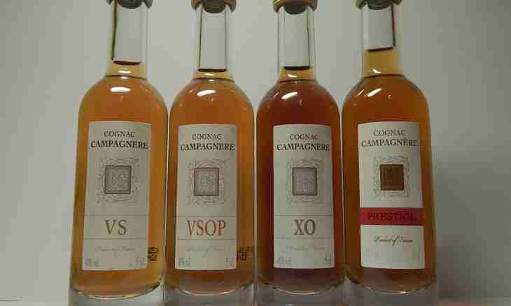 How to distinguish the real cognac upon purchase