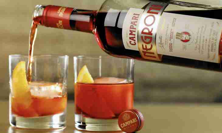 What cocktails can be made on the basis of Campari