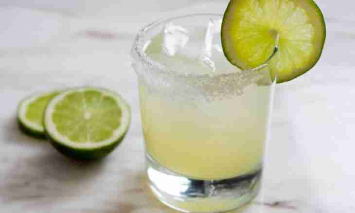 How to drink Margarita