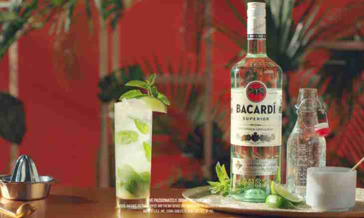How to choose rum of Bacardi for cocktails