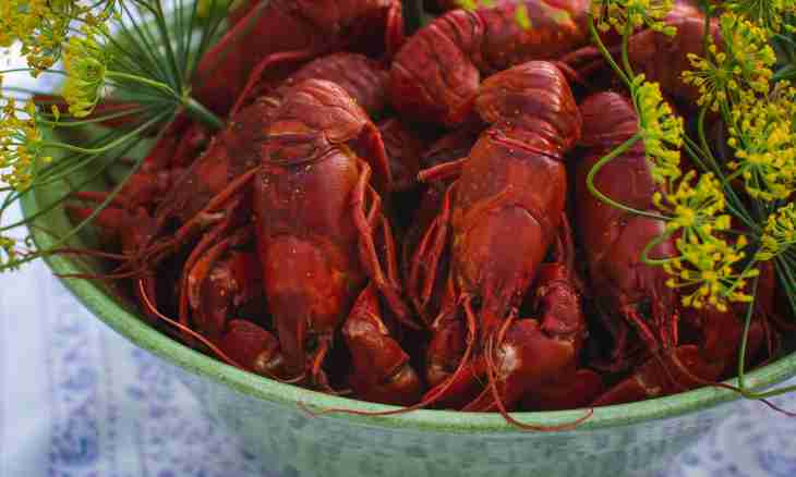 Turkish vodka crayfish: features, culture of the use