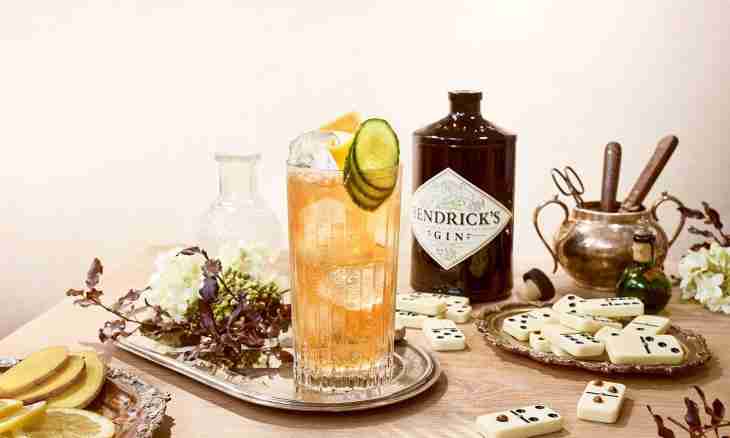 Drink gin: the recipe, structure how to drink gin