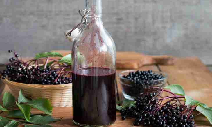 How to make fruit liqueur from a chernoplodka