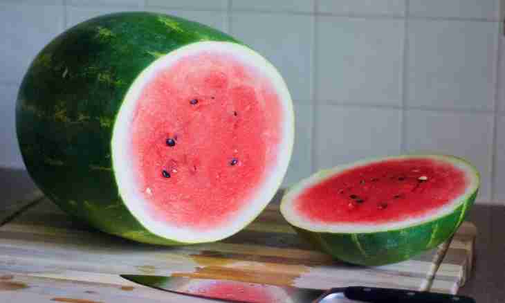Water-melon granite with gin