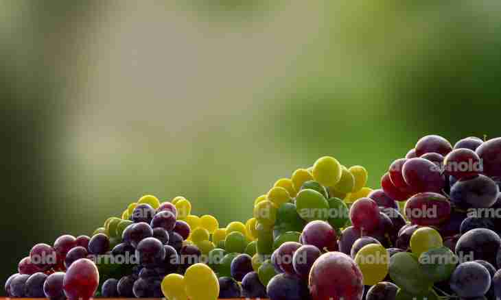 What vitamins B grapes