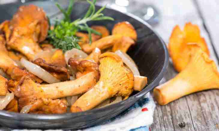 How to make fried chanterelles