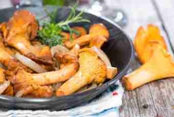 How to make fried chanterelles