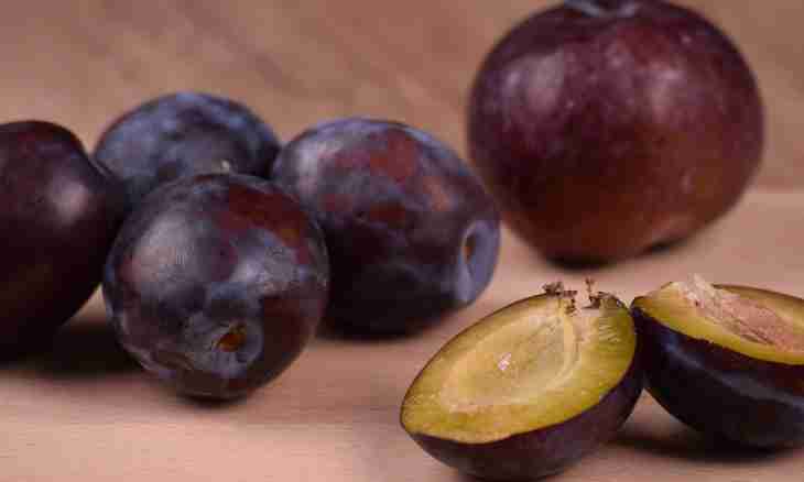 What to prepare from plum