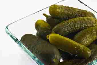 How to prepare fresh-salted cucumbers that they crackled