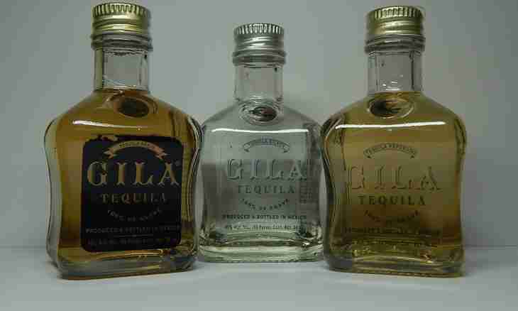 What do tequila of