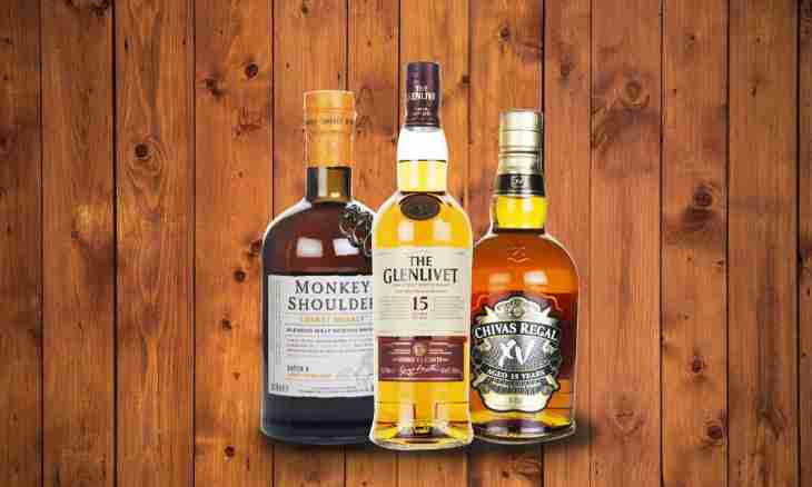Seven interesting facts about whisky