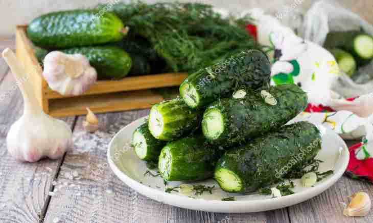 How to salt cucumbers for the winter in banks