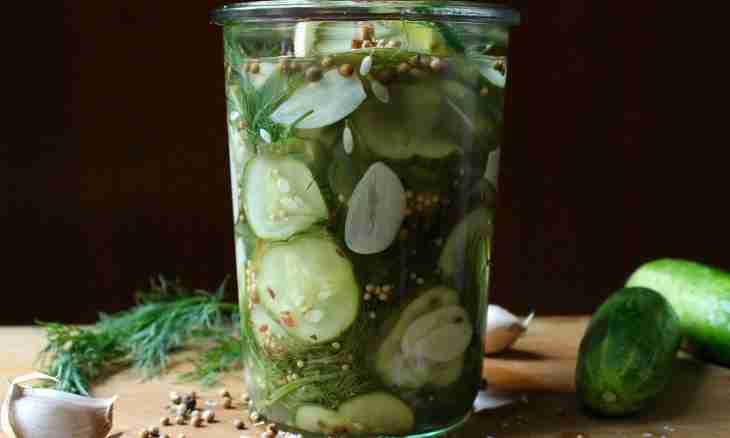 How to make crunchy cucumbers of ordinary salting