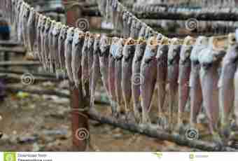 How to dry fish on the balcony