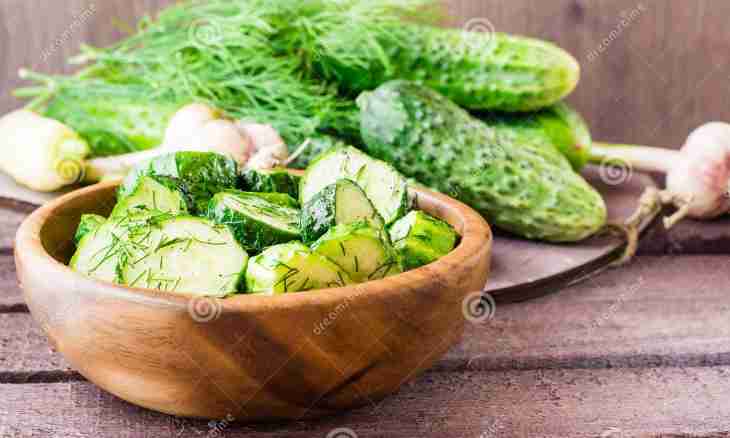 Fresh-salted cucumbers with garlic - fast and tasty snack