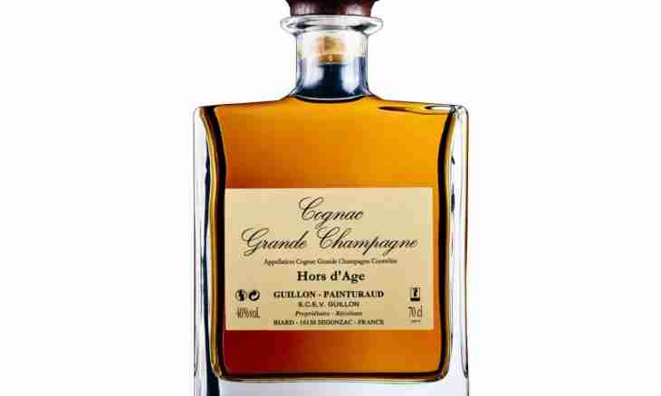 What happens endurance at cognac