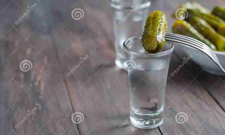 Sharp fresh-salted cucumbers on vodka