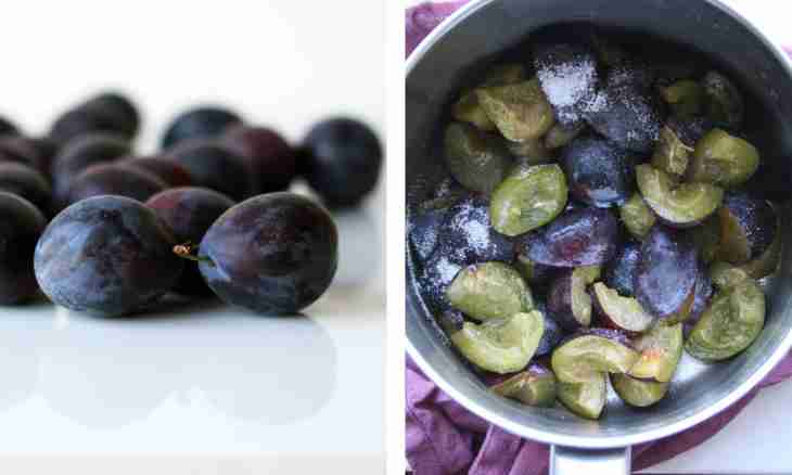 What to prepare from small plums