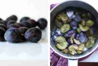 What to prepare from small plums