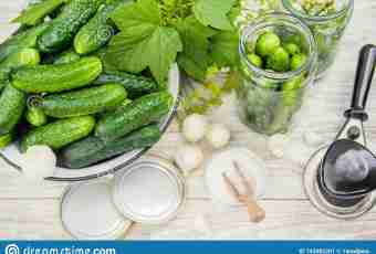 As simply and quickly to prepare fresh-salted cucumbers in a package