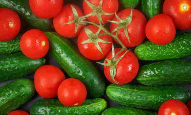 Tomatoes in grated cucumbers