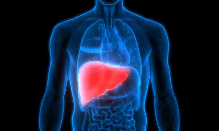 What alcohol is less harmful to a liver