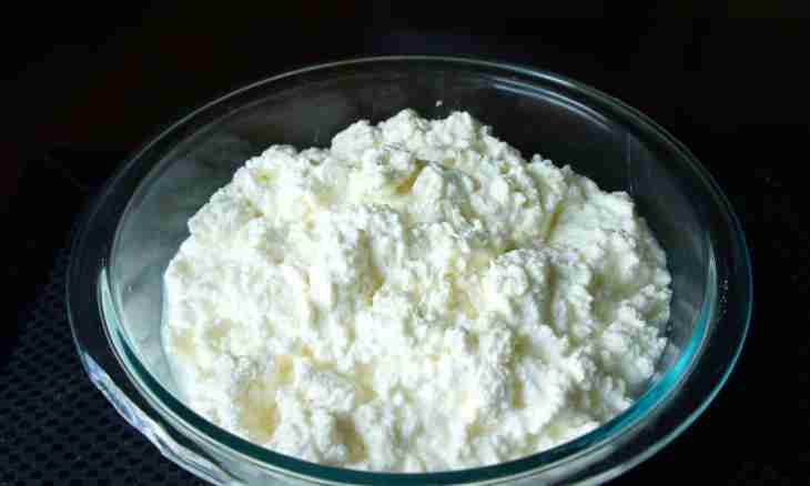 How to make cottage cheese cheesecakes