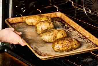 The potato baked in an oven tasty by pieces