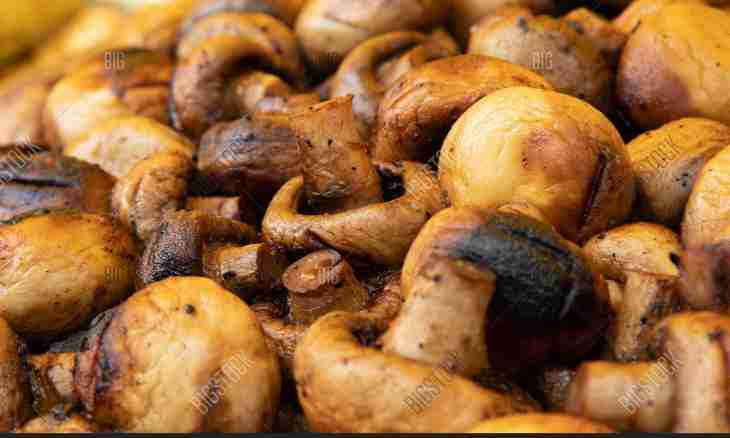 How to make champignons on a grill