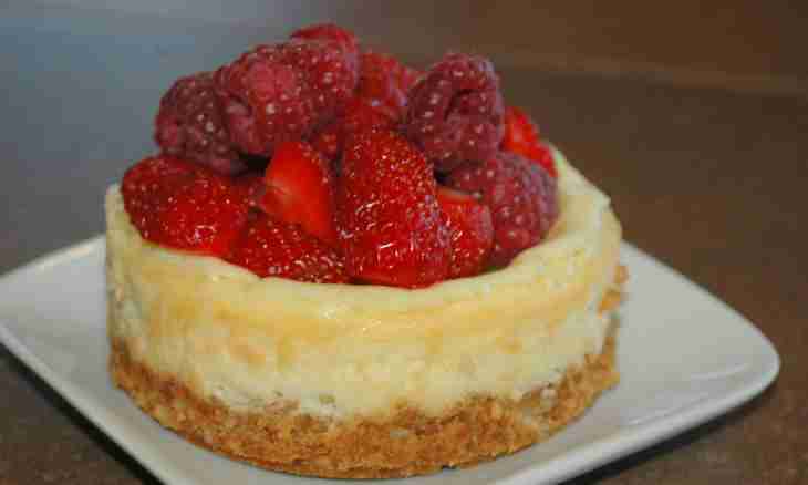 How just to make ideal cheesecakes