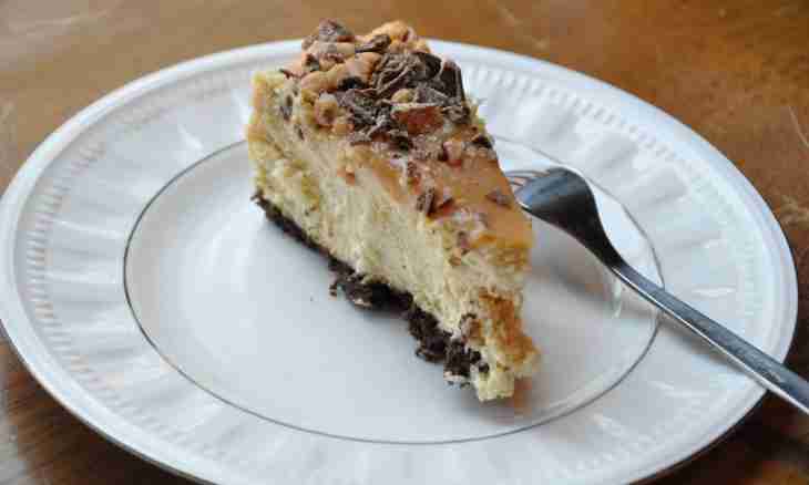 10 recipes of cheesecakes from experienced housewives